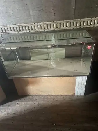Huge selection of glass jewelry cases, 4 feet to 10 feet long