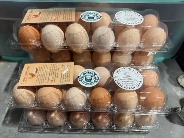 Farm fresh eggs