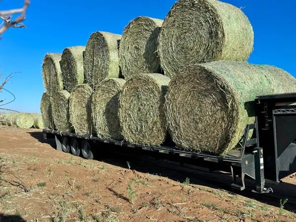Haygrazer