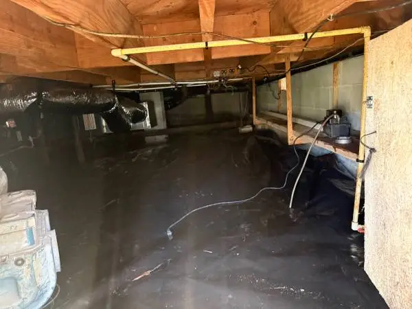 LOW RATE!!!! Mold Removal & Indoor Air Testing