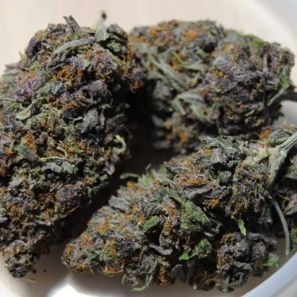 Forbidden Fruit Marijuana Strain
