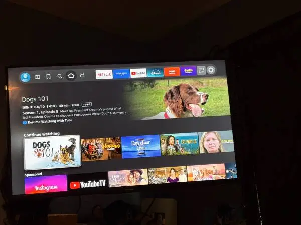 40 inch Toshiba smart TV & full motion mount