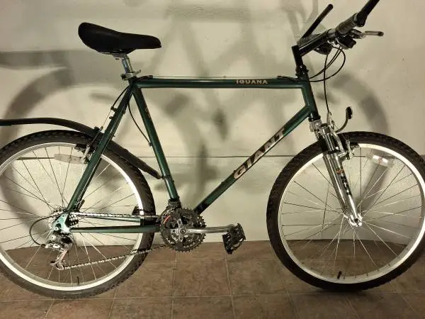 GIANT IGUANA MOUNTAIN BIKE 23POST