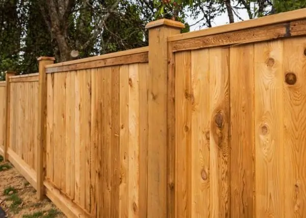 Fence Staining – Protect & Upgrade Your Fence