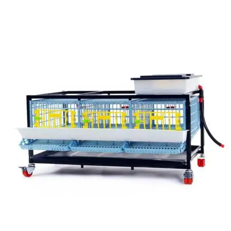 Hatching Time Quail Cage - 1 Layer - Traditional  Chicken Egg Layer