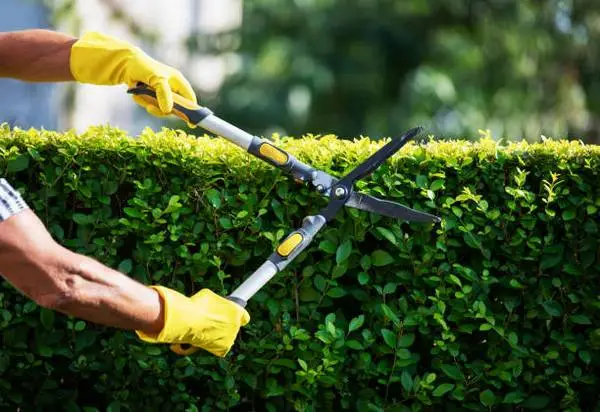 AFFORDABLE LANDSCAPING SERVICE.