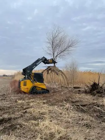 Forestry Mulching & Brush Mowing