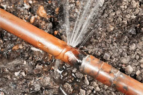 Plumber Same Day Service / Toilet Clog/ Sewer-Kitchen,Call Today!