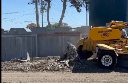 Carlton 7500 with a 74 HP Deutz Diesel Stump Grinder