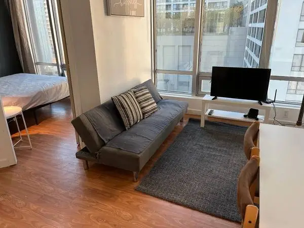 2 BEDROOM,FURNISHED, NICE CONDO,Burrard at Nelson june 1