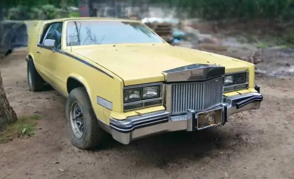 1980 - 1985 Cadillac eldorado grill emblems