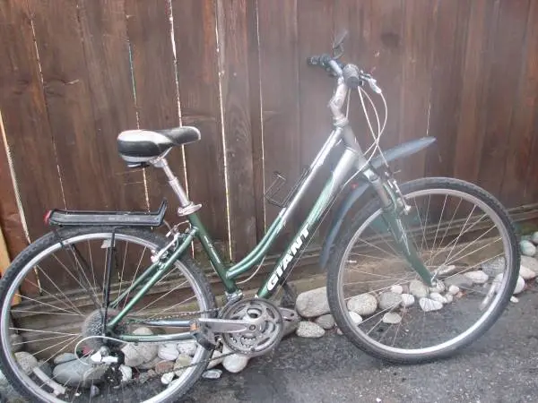 M 17 Giant CypresDX Wmns Hybred, 700-38c Tires, Rr Rack and fenders