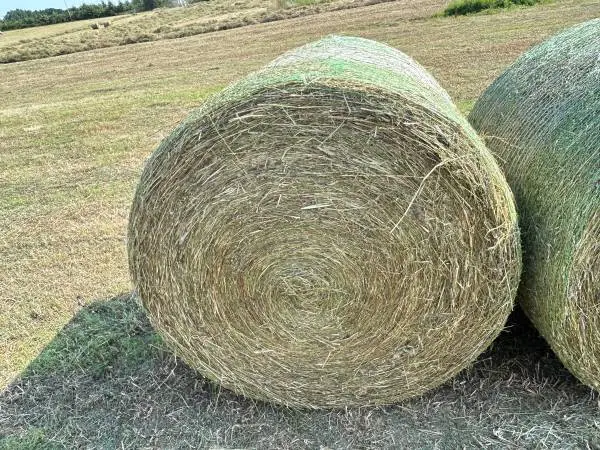 Round Bales For Sale
