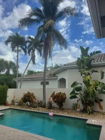 HEDGE REMOVAL-HEDGE INSTALLATION-TREE TRIMMING-TREE REMOVAL-WEST PALM BEACH