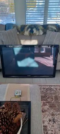 50 PANASONIC PLASMA TV