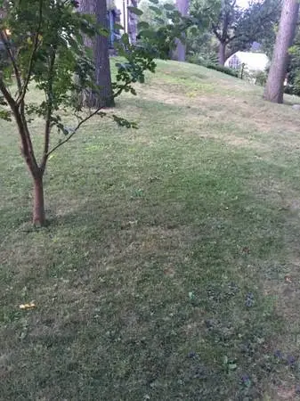 🟥🟦🟥LAWN MOWING TODAY🟥🟦🟥RELIABLE-AFFORDABLE 407-600-6881☎️
