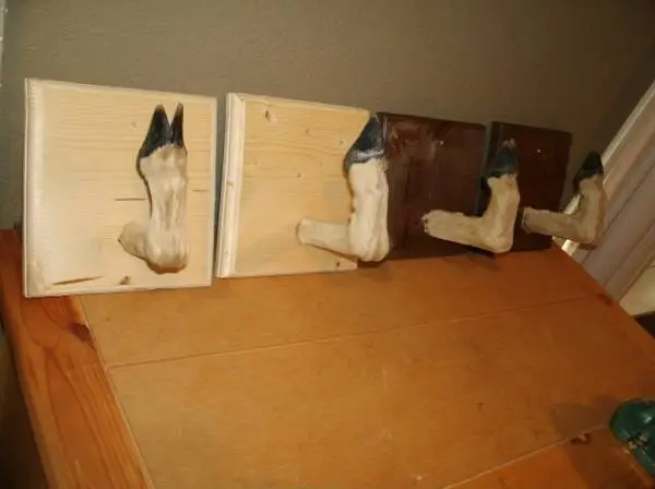 Deer Feet Hat Rack