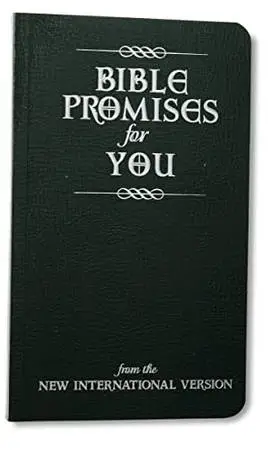 Bible Promises for You (New)