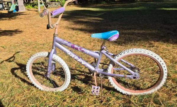 Huffy Seastar 20 Bicycle