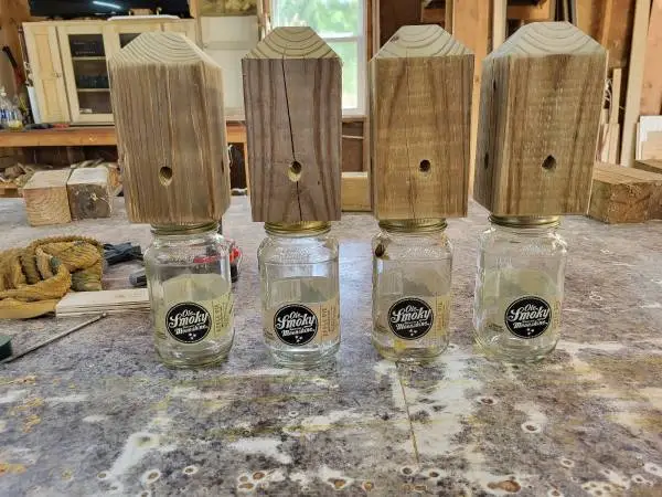 carpenter bee traps