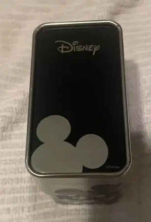 SO, MOM AND YOU KIDS WENT TO DISNEY WORLD, BUT DAD HAD TO WORK