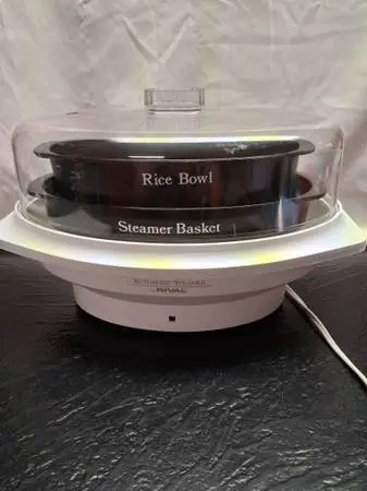 Automatic steamer