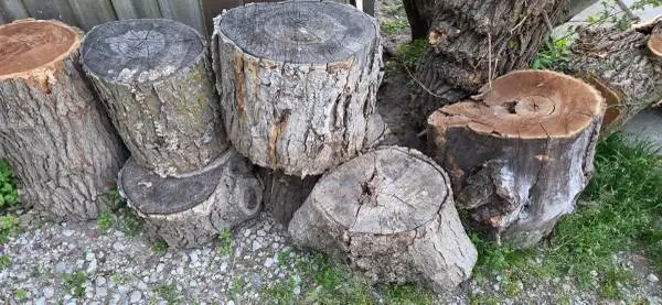 CUT FIREWOOD FOR SALE CHEAP , YOU LOAD & HAUL...
