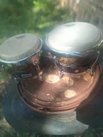 LP Performer Series bongos