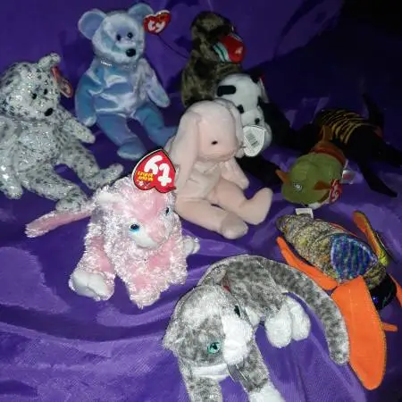 10 New Beanie Babies All With Tags $120.00/OBO