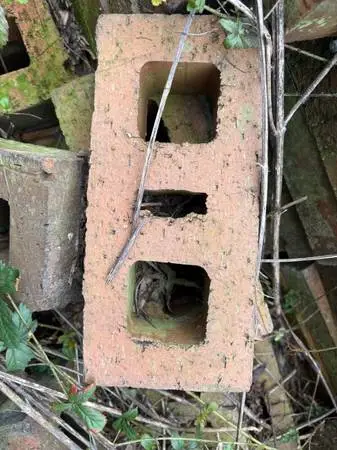 Bricks - New