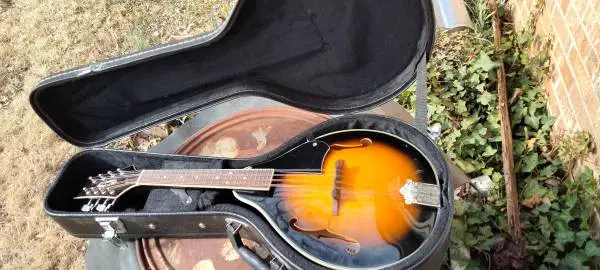 Carolina Mountain mandolin