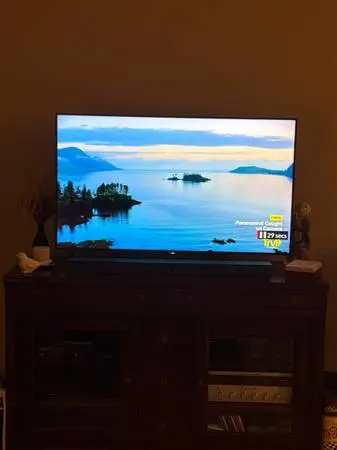 Sony Bravia TV 49 inch