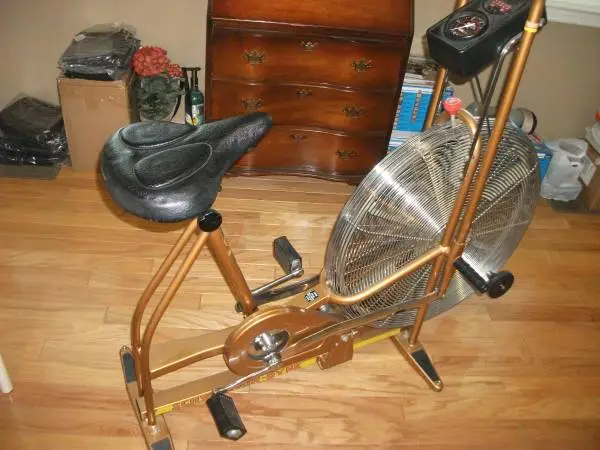 Schwinn AirDyne Exercise Bike AD3
