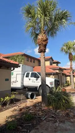 AFFORDABLE TREE SERVICE