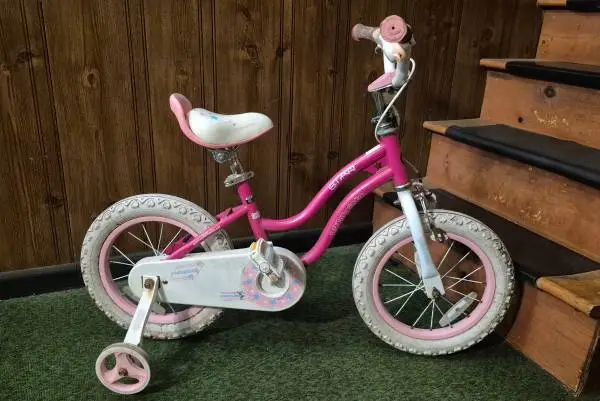 Royalbaby Star 14 Bicycle with Training Wheels