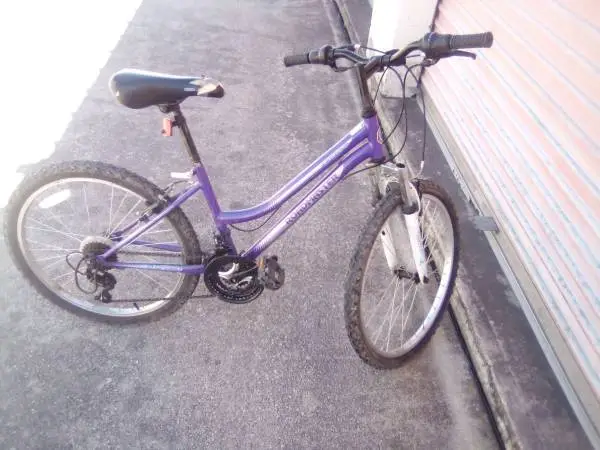 Roadmaster bike
