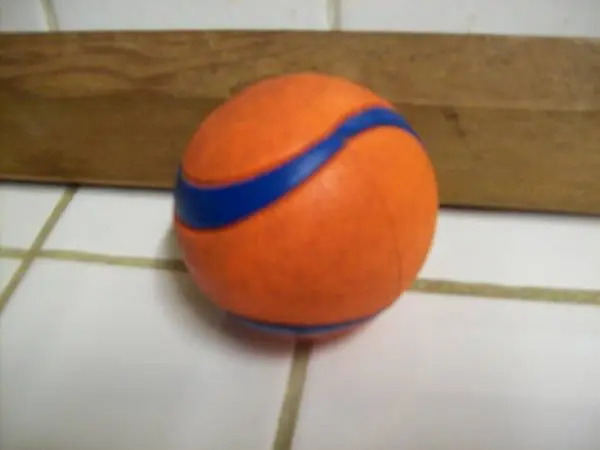 Dog chew ball orange pet toy
