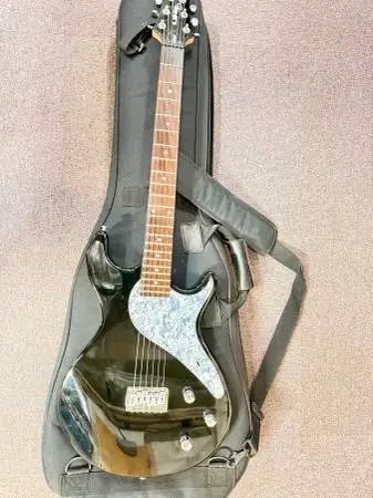 Line  6 Variax 500 closet queen