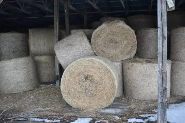 HAY 4 Sale