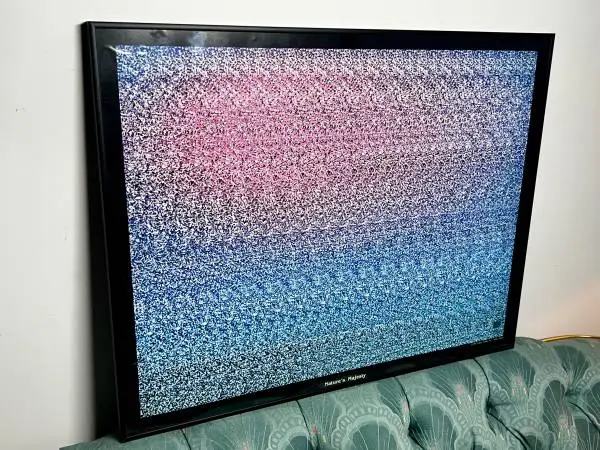 1993 Magic Eye “Nature’s Majesty” 3D art poster framed