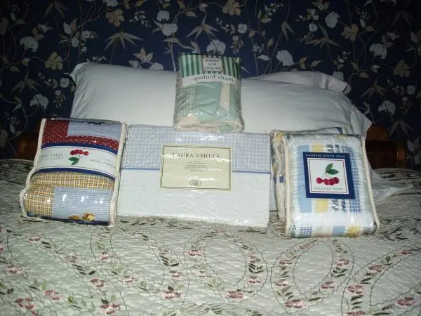 Pillow Shams/Throw Pillows
