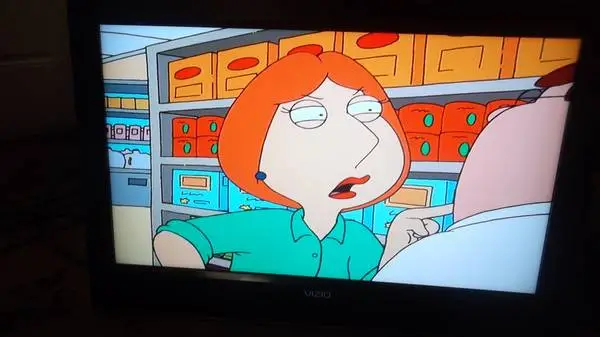 Vizio 32 Inch TV