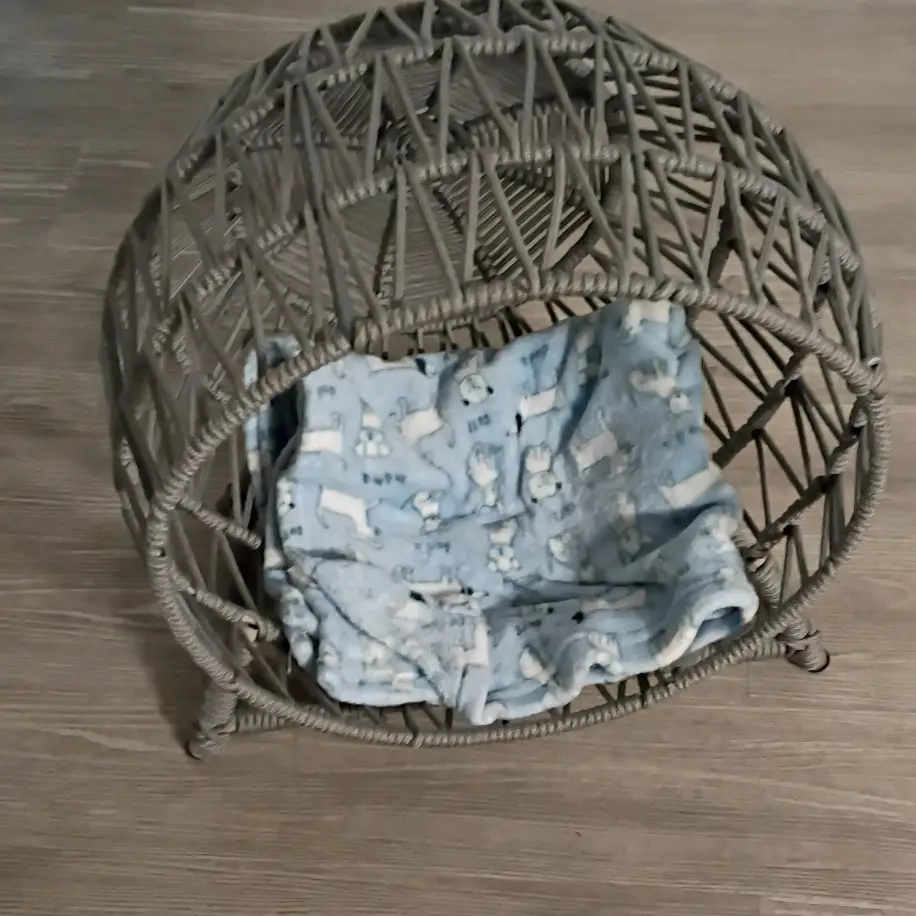 pet bed made of bamboo