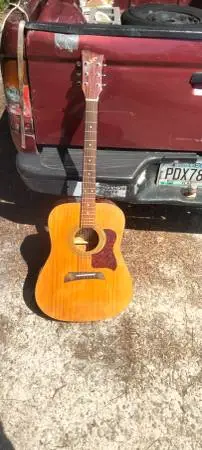 First Act dreadnaught guitar w strap &case