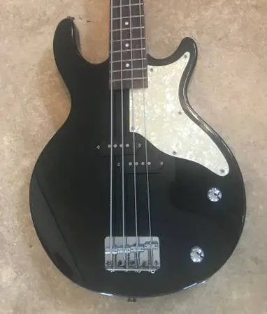 Electric Bass Guitar