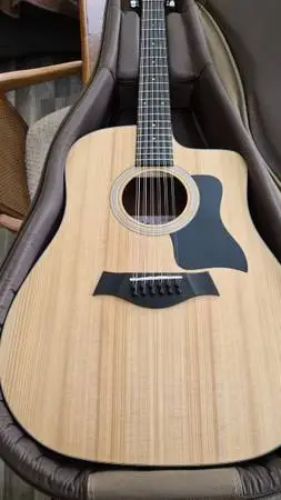 Taylor 12 String Acoustic Electric Guitar