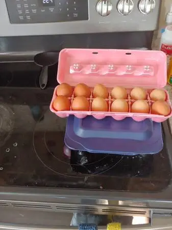 Farm fresh Eggs