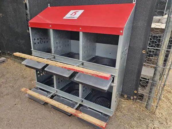 Dunkens 6 Compartment Laying Box for Chickens