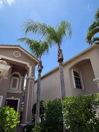 Call Today! Lawn Care, Sod Insallation,Tree Trimming, Irrigation