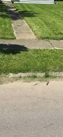 Yard care